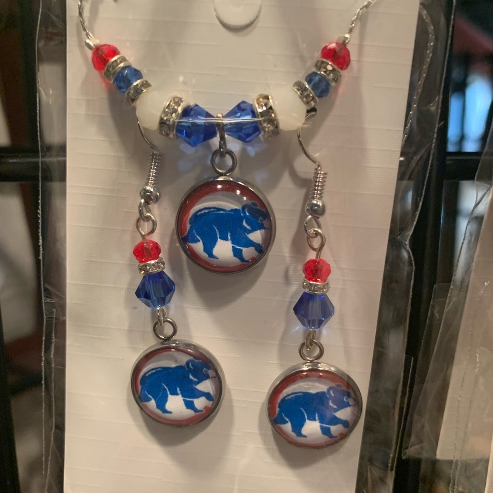 Beautiful beaded earrings and necklace set Chicago Cubs